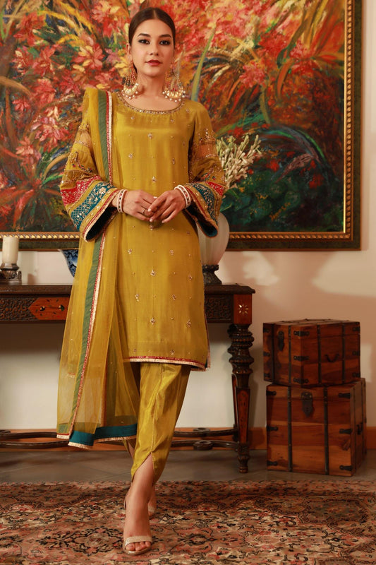 Pakistani Dress Ladies - Pakistani Suits - SareesWala.com