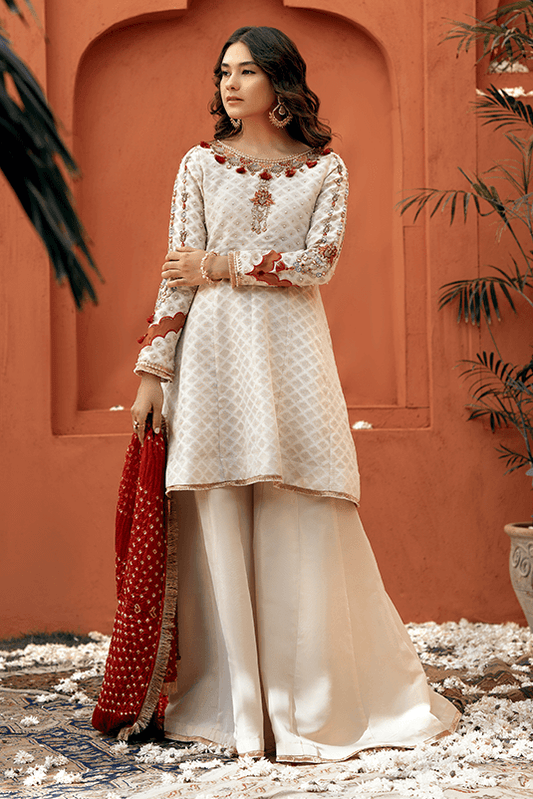 Pakistani formal cheap dresses